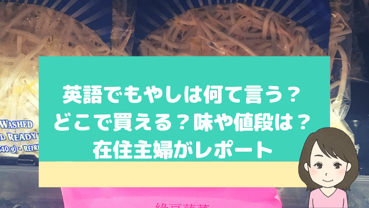 英語でもやしは何て言う どこで買える 味や値段は 在住主婦がレポート ボストン生活日記