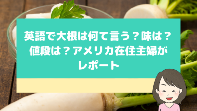 英語でもやしは何て言う どこで買える 味や値段は 在住主婦がレポート ボストン生活日記